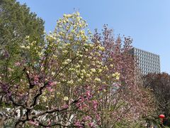 -月坛公园