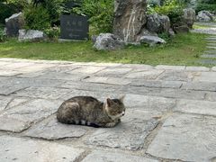 -采石矶景区