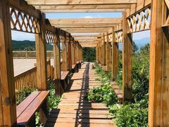 -白草畔自然风景区