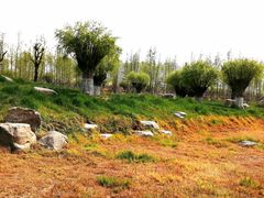 -汉长安城未央宫国家考古遗址公园