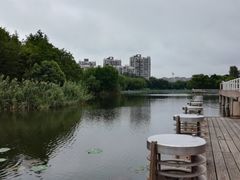 -新江湾城公园
