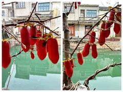 -丝绸小镇荻港古村