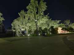 -海堤纪念公园
