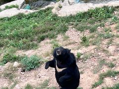 -大连森林动物园