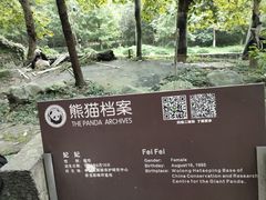 -都江堰中华大熊猫苑