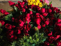 -王府井天主教堂