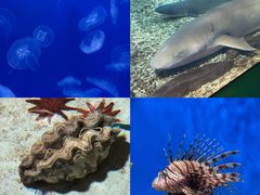-福州罗源湾海洋世界旅游区