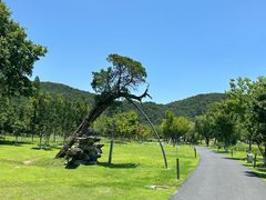 -南北湖风景区