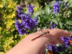 -波塞冬旅游度假区