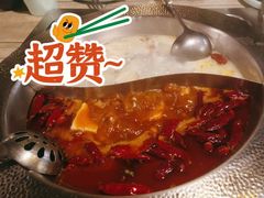 -麻田会 ·鲜活现烹·牛蛙火锅(珠江新城维家思广场店)