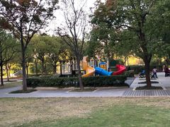 -新江湾城公园