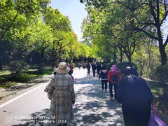 -南京市江宁方山