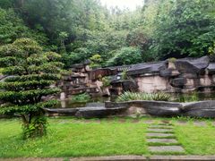 -乐山乌木文化博览苑