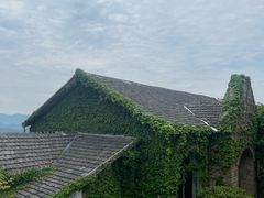 -莫干山风景区