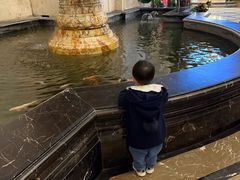 -昆山皇冠国际会展酒店