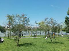 -风云岭森林公园