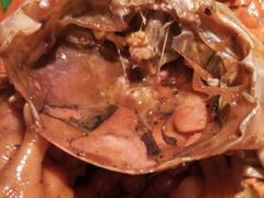 膏蟹煲-蛮横肉蟹煲(印象城店)