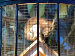 -酷嗒动物文化乐园(cutezoo西溪乐天城店)