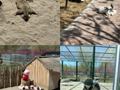 -水上乐园·欢乐世界