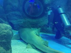 -常州海昌海洋探索馆
