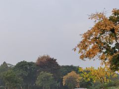 -良渚古城遗址公园