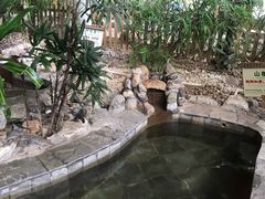 -河北霸州茗汤日月潭温泉