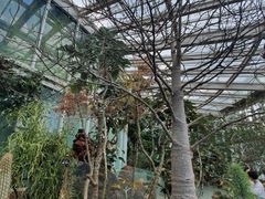 -昆明植物园