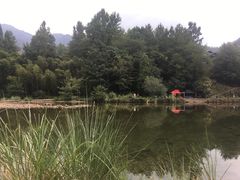 -楠溪江石桅岩