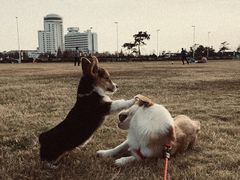 -汇泉广场
