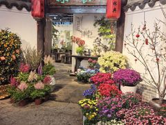-双季花艺园艺市场(浦东店)