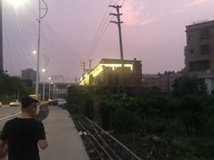 -旺金鸽(穗盐路总店)
