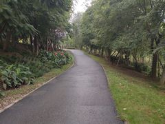 -白鹭湾湿地公园