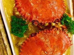 -茉莉.Red Crab