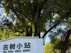-北山公园