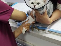 -宠颐生动物医院·心脏科·保险定点(锦阳分院)