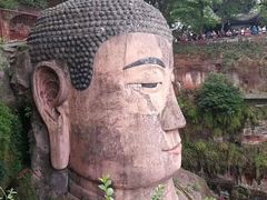 -乐山市博物馆