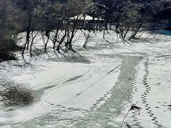-黑龙潭风景区