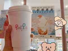 -WHEN PIGS FLY当猪飞