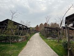 -上海海湾国家森林公园