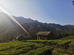 -姑婆山旅游区