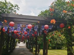 -白马涧龙池景区