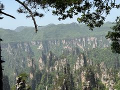 -颐而康·按摩·艾灸·足疗(南岸晶都店)