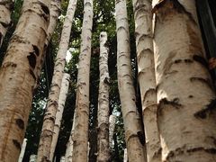 大堂-Metal hands·铁手咖啡