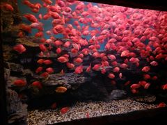 -多彩贵州城极地海洋世界