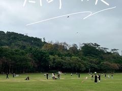 -莲花山公园