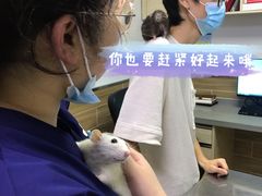 -爱侣宠医·鹦鹉专科·小型哺乳类·异宠专科(灵石路店)