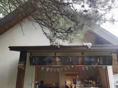 -云峰山自然风景区