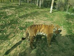 -北京野生动物园