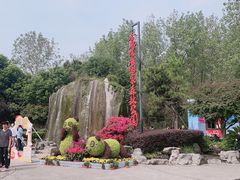 -合肥滨湖国家森林公园