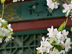 -海棠花溪(元大都城垣遗址公园)